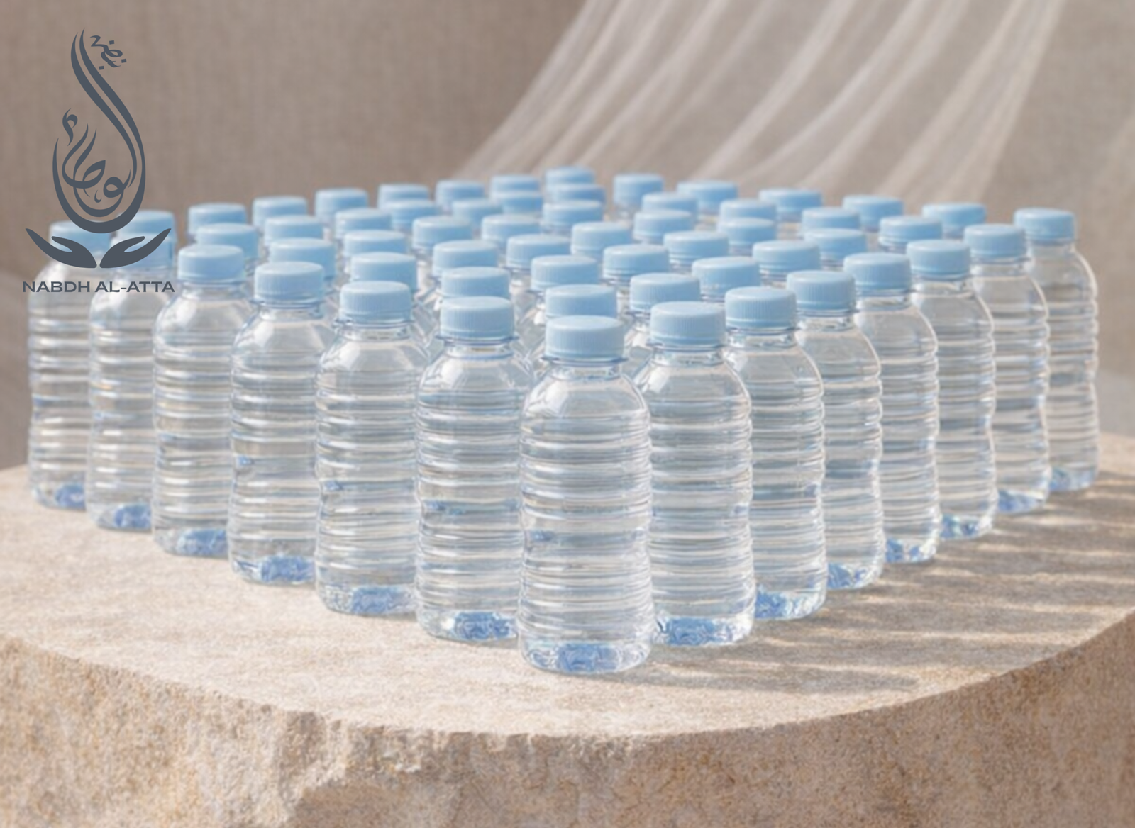 Water Packs (48pcs)