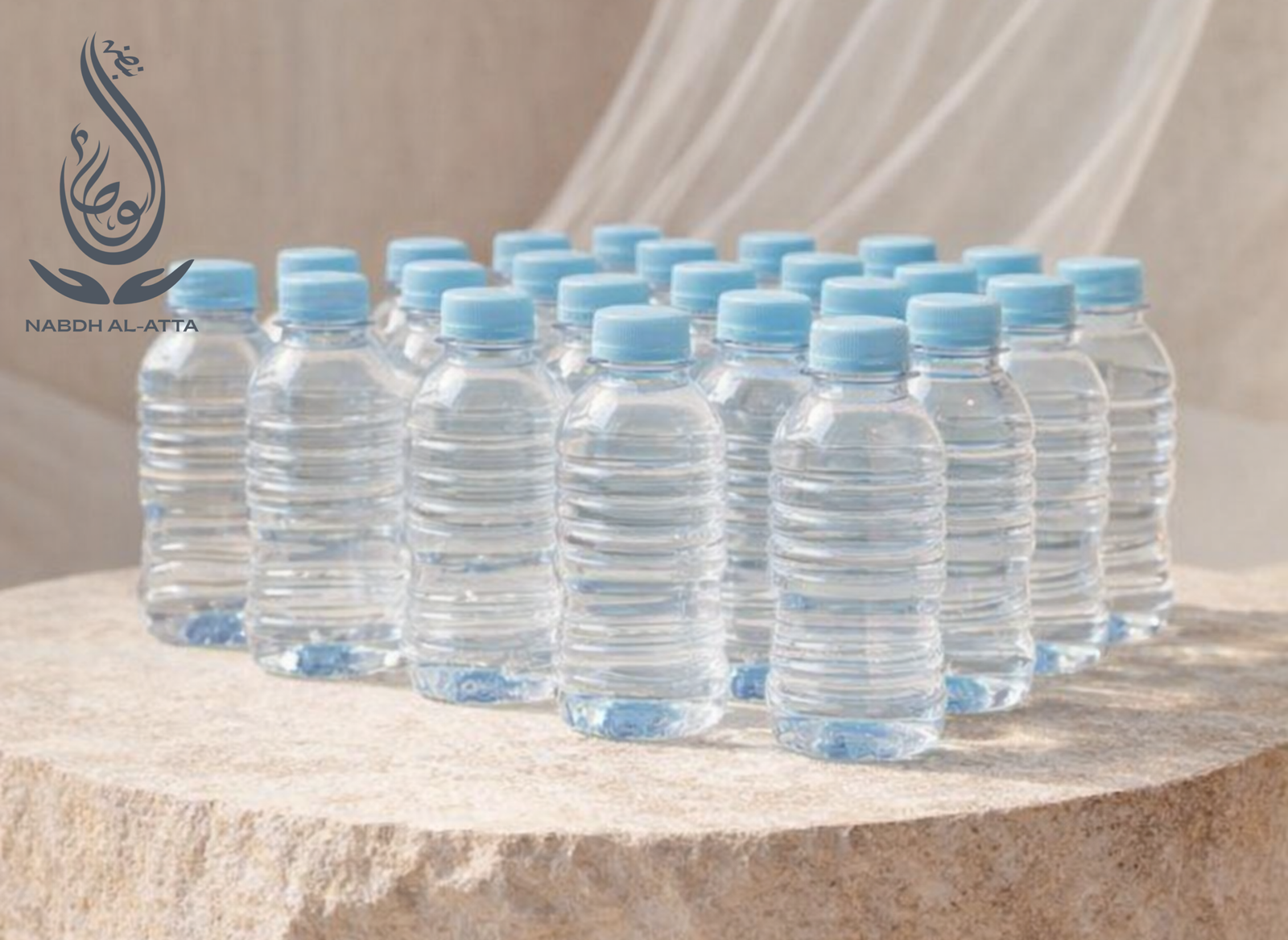 Water Packs (24pcs)